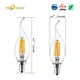 LED Filament Lamp