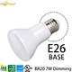 dimmable LED bulb