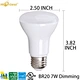 dimmable LED bulb
