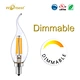 Clear Glass LED bulb