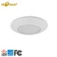 Led disk light