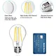 LED Filament Bulbs
