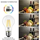 retro classic led bulbs
