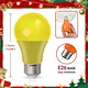 dimmable led bulb