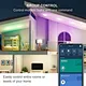 led light bulbs