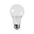 energy light bulbs