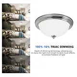 led ceiling light