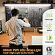 LED Hanging Light
