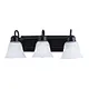 3 light led vanity light