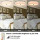 led ceiling fixture