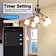 Voice Control led bulb