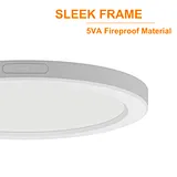 LED Ceiling Light