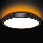 Flush Mount Ceiling Light