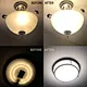 LED Light Engine