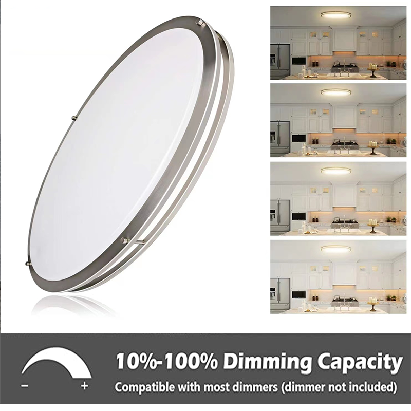 Double Ring LED Ceiling Light