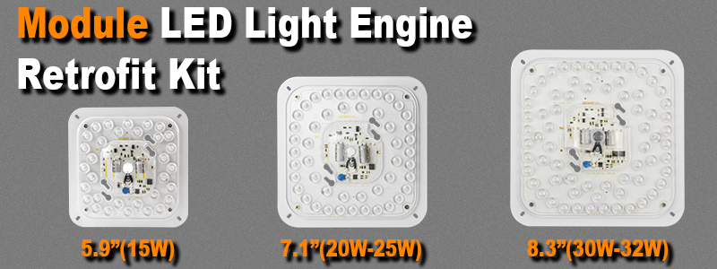 LED Light Module