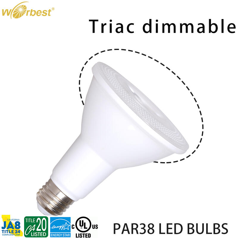PAR LED BULBS