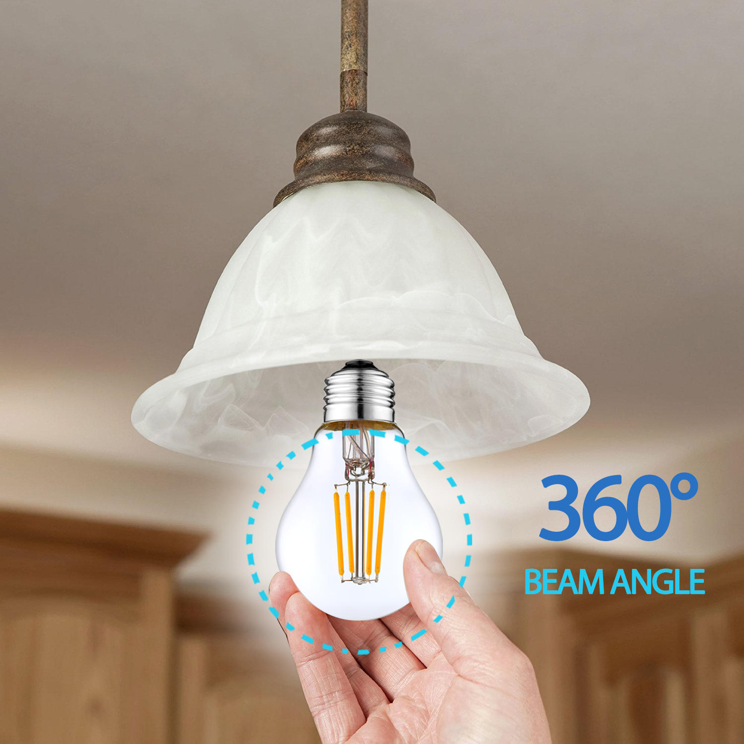LED Filament Bulbs