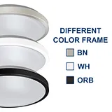 LED Flush Mount