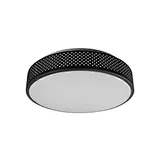 LED Ceiling Light