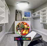 11inch modern led light