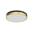 dimmable led ceiling light