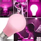 LED Atmosphere