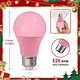 pink led bulb