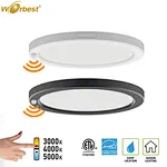 LED Ceiling Light