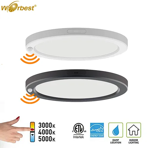 LED Ceiling Light