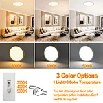 Edge-Lit LED Flush Mount Light