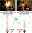 Beam Angle 360 Degree