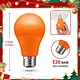 LED Bulb