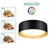 Modern Dimmable Ceiling Lamp