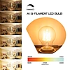 Temperature Triac LED Filament Bulb