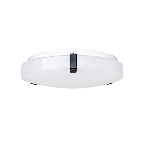 flush mount