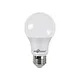 A19 LED Light Bulb