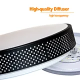LED Flush Mount