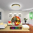 dimmable led ceiling fixture