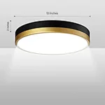 Luxury LED Ceiling Light