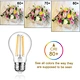 LED Light Bulbs