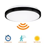LED Ceiling Light