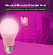 pink led bulb