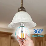 Clear Glass Cover LED Bulb