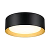 flush mount ceiling light
