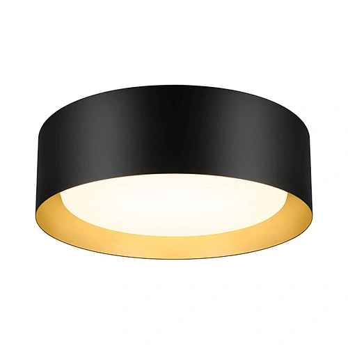 flush mount ceiling light
