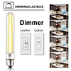 T10 LED Filament Bulb