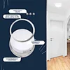 Double Ring LED Ceiling Light