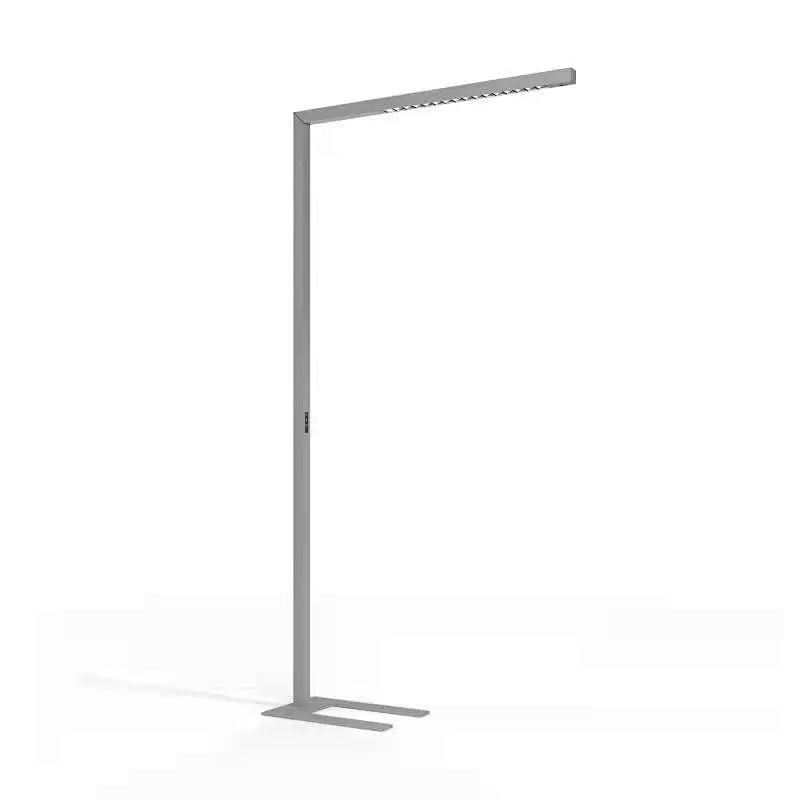 Free-standing light