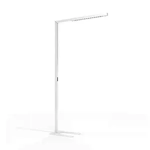Free-standing light
